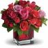 O.M @ Flower